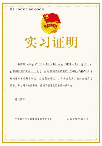 User Manual for the Shandong Youth 'Internet+' Service and Big Data Platform