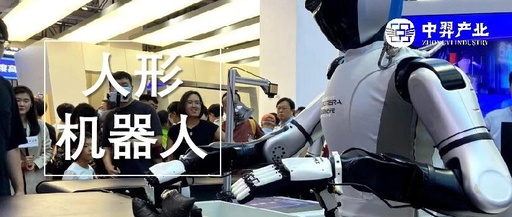 Top Ten Areas Where Humanoid Robots Are Expected to Achieve Commercialization First