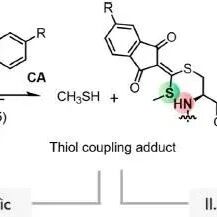 Site-Specific Chemoselective Cyclization and Fluorogenic Modification of Protein Cysteine Residues: From Side-Chain to Backbone