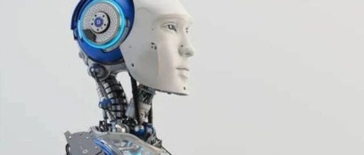 Recent Developments in Humanoid Robot Orders