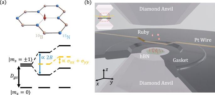 Chinese Scholar's First Author! Quantum Sensors Just Published in Nature Sub-Journal!