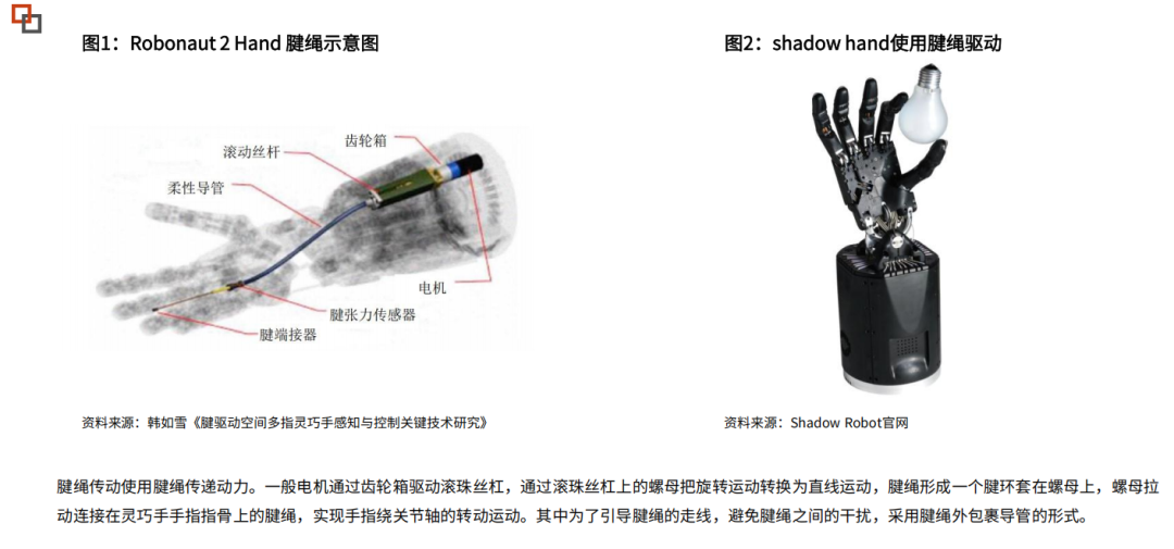 Tendon Materials: Key Materials for Humanoid Robot Actuation - A Comprehensive Analysis