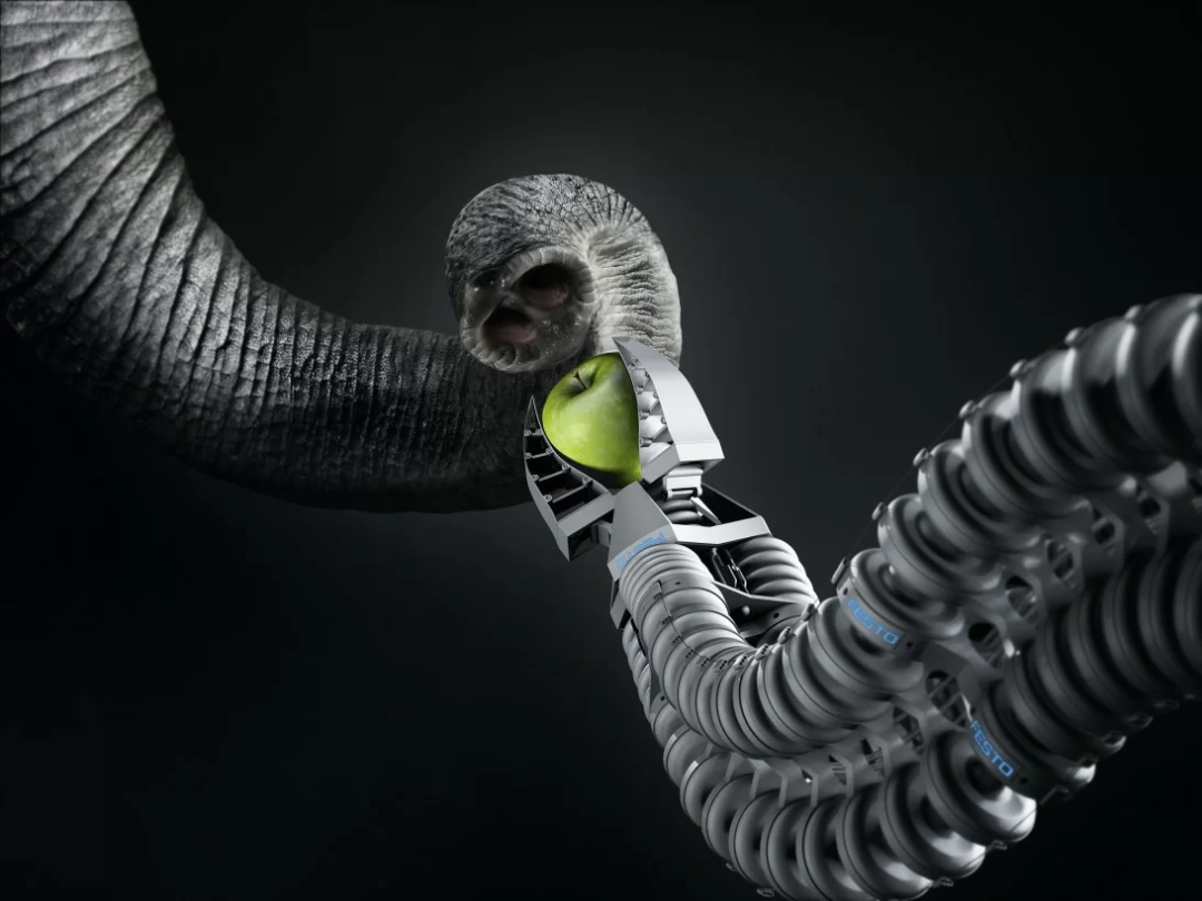 Seizing the Opportunity: Development of Robotic Gripper Technology and Manufacturer Overview