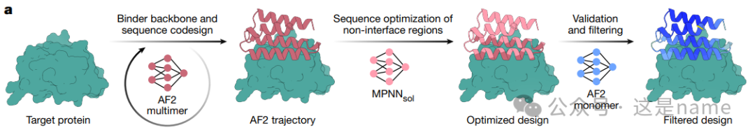 BindCraft: A One-Shot Protein Design Tool for Functional Protein Binders (Nature 2025)