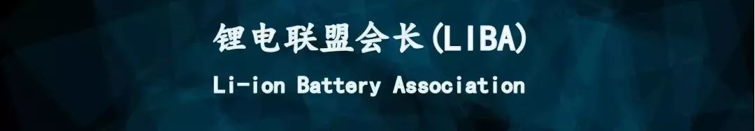 Wenzhou University Team's Review on the Multifaceted Role of Carbon-Based Materials in Sodium Batteries and the Design of Hybrid Sodium Batteries