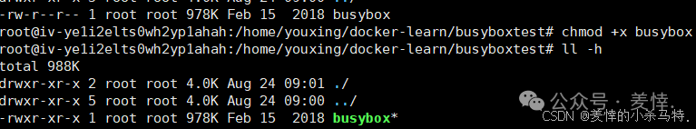 Mastering Docker End-to-End: Container Management, Nginx Homepage Customization, BusyBox Tool Practice, and Tencent Cloud Repository Deployment