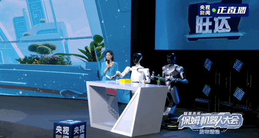 Everything You Need to Know About Robots