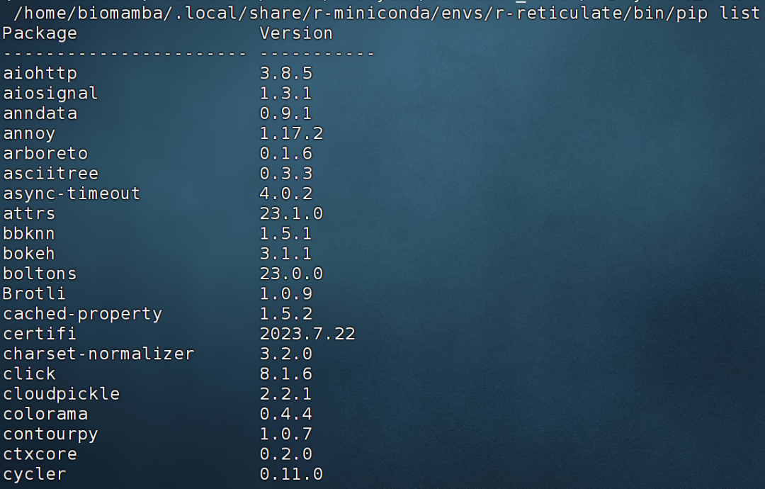The R+Python Combination May Be the Best Way to Analyze SCENIC