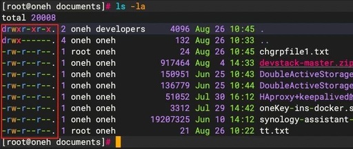 Linux Permission Management: Detailed Explanation of the Differences and Use Cases of chmod, chown, and chgrp