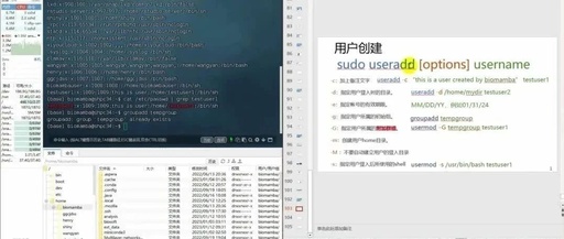 Linux | 14. User Management Commands (useradd, passwd, userdel, su)