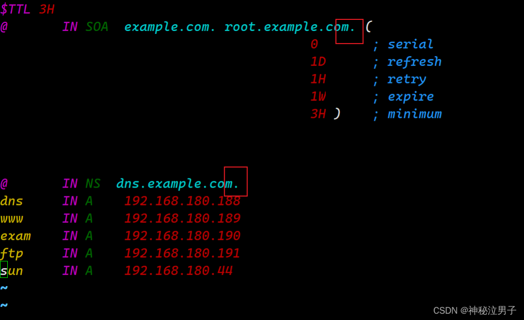 Setting Up a DNS Domain Name Resolution Server on Linux (Detailed Version)