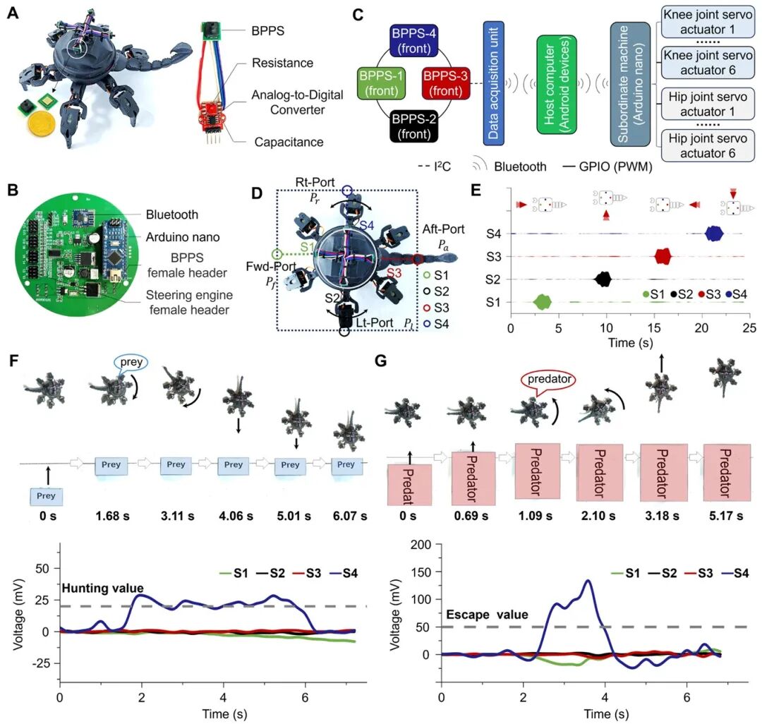 Jilin University: Scorpion-Inspired Biomimetic Sensors Assist Hexapod Robots in "Hunting" Behavior