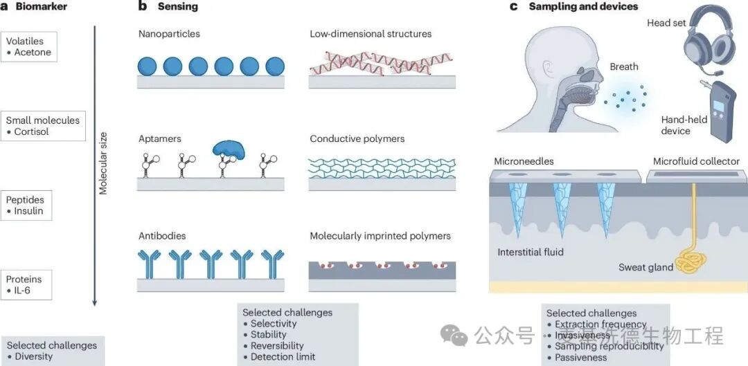 Wearable Molecular Sensors Drive New Transformations in Endocrine and Metabolic Health