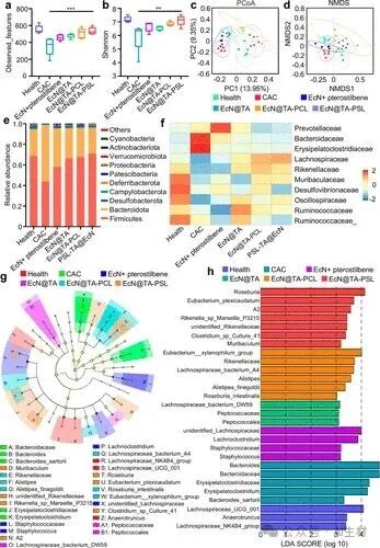 Oral Probiotic-Drug Conjugates for Targeted Colonization and On-Demand Drug Release in the Treatment of Ulcerative Colitis and Its Complications