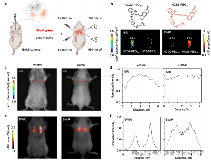 J. Am. Chem. Soc.: Shortwave Infrared Hemicyanine-6 for Cancer Activation and Shaving-Free Preclinical Imaging of Lung Metastasis