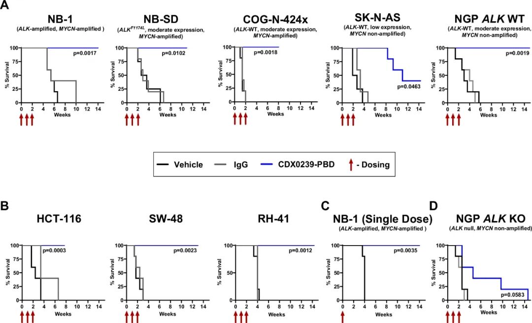 ALK-ADC Drug: Validation of Efficacy of ALK-Targeted Humanized Antibody-Drug Conjugate with Pyrrolobenzodiazepine Payload in ALK-Expressing Cancers