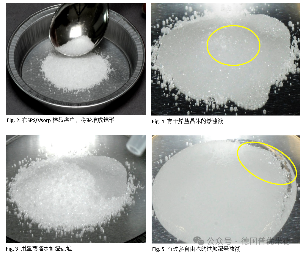 Calibration of DVS Humidity Sensors Using Saturated Salt Solutions