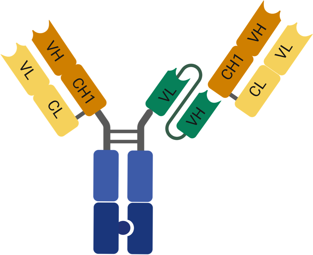 Strange ADC Targets, Complex MoA, and Exhausted Bioassays