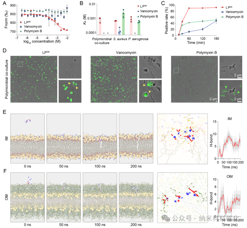A Bioinspired Lipopeptide Surmounts Therapeutic Dilemmas of Gram-Positive and Gram-Negative Polymicrobial Infection