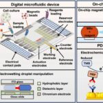 Digital Microfluidic Platform for Integrated Electrochemical Sensors: Automated Extraction and Detection of Extracellular Vesicles