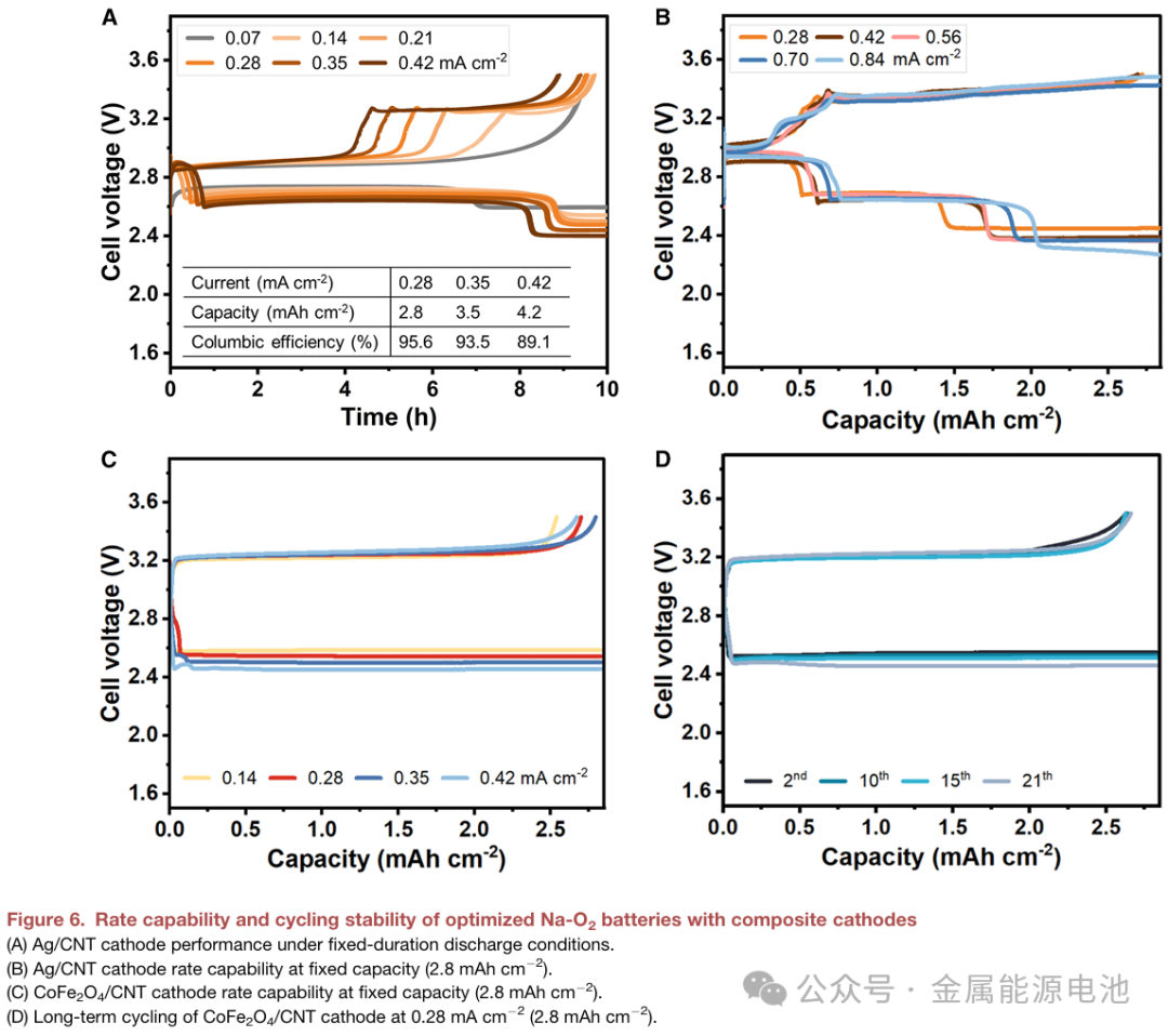 CRPS: Revealing Performance Limitations of All-Solid-State Na-O₂ Batteries through EIS-DRT Analysis