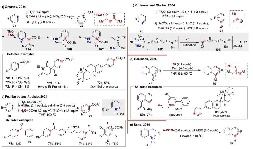Review by Professor Hongjian Lu's Team at Nanjing University | Recent Advances in Skeleton Editing Based on Nitrogen Atom Manipulation
