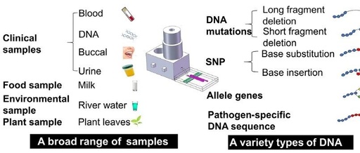 Mobile Phone as a Heat Source Collaborating with Microfluidic Chips for Nucleic Acid Amplification Detection