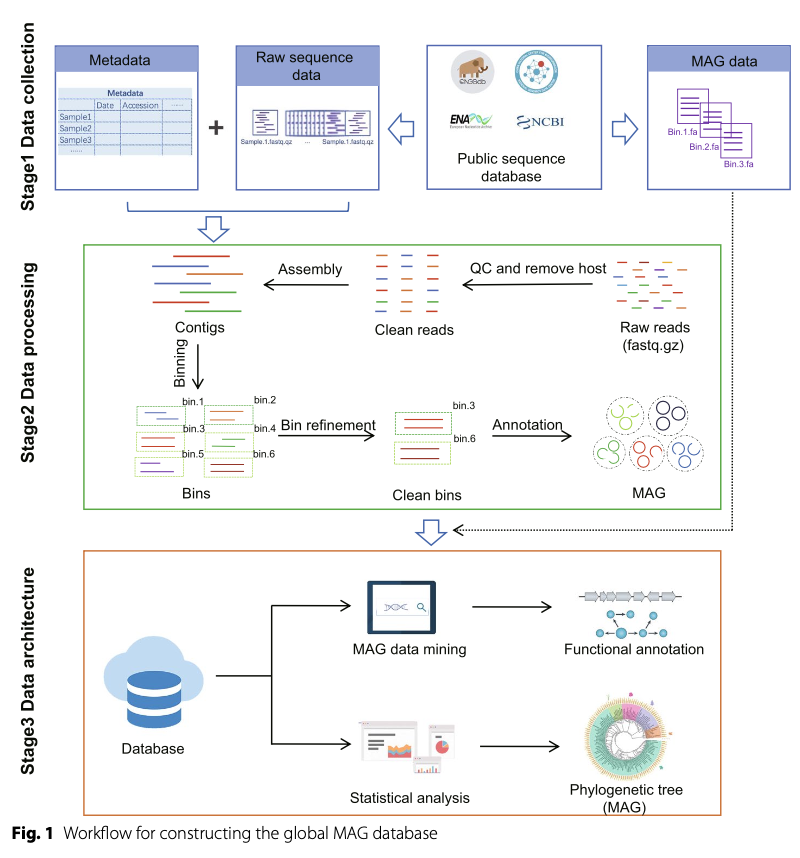 MAGdb: A Comprehensive High-Quality Repository for Exploring Microbial Metagenome-Assembled Genomes