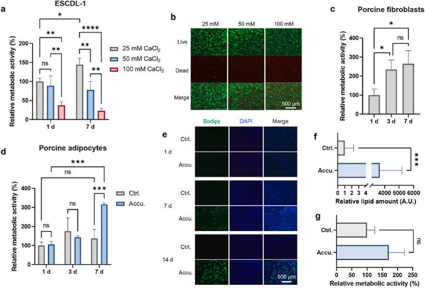 Embedded Bioprinting Enables Precise Fabrication of Cultured Meat with Authentic Structural Properties