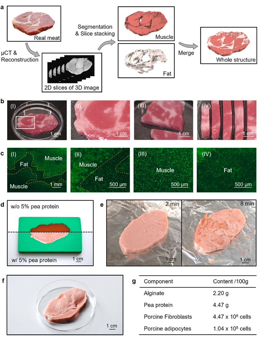Embedded Bioprinting Enables Precise Fabrication of Cultured Meat with Authentic Structural Properties