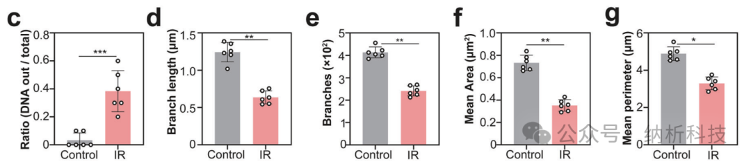 August Collection (Part 2) | Multi-SIM Tackles Dual Challenges: New Antibacterial Drugs and Nanotherapy for Brain Injury