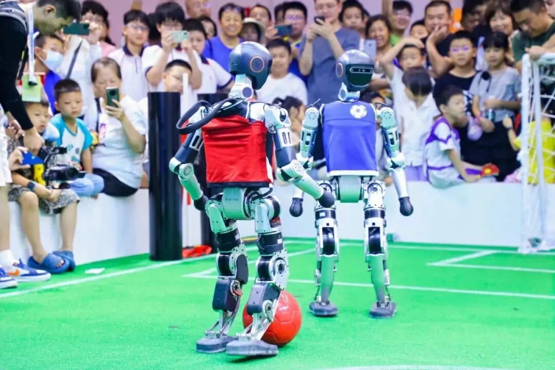 Understanding Embodied Intelligence, Intelligent Robots, and Humanoid Robots