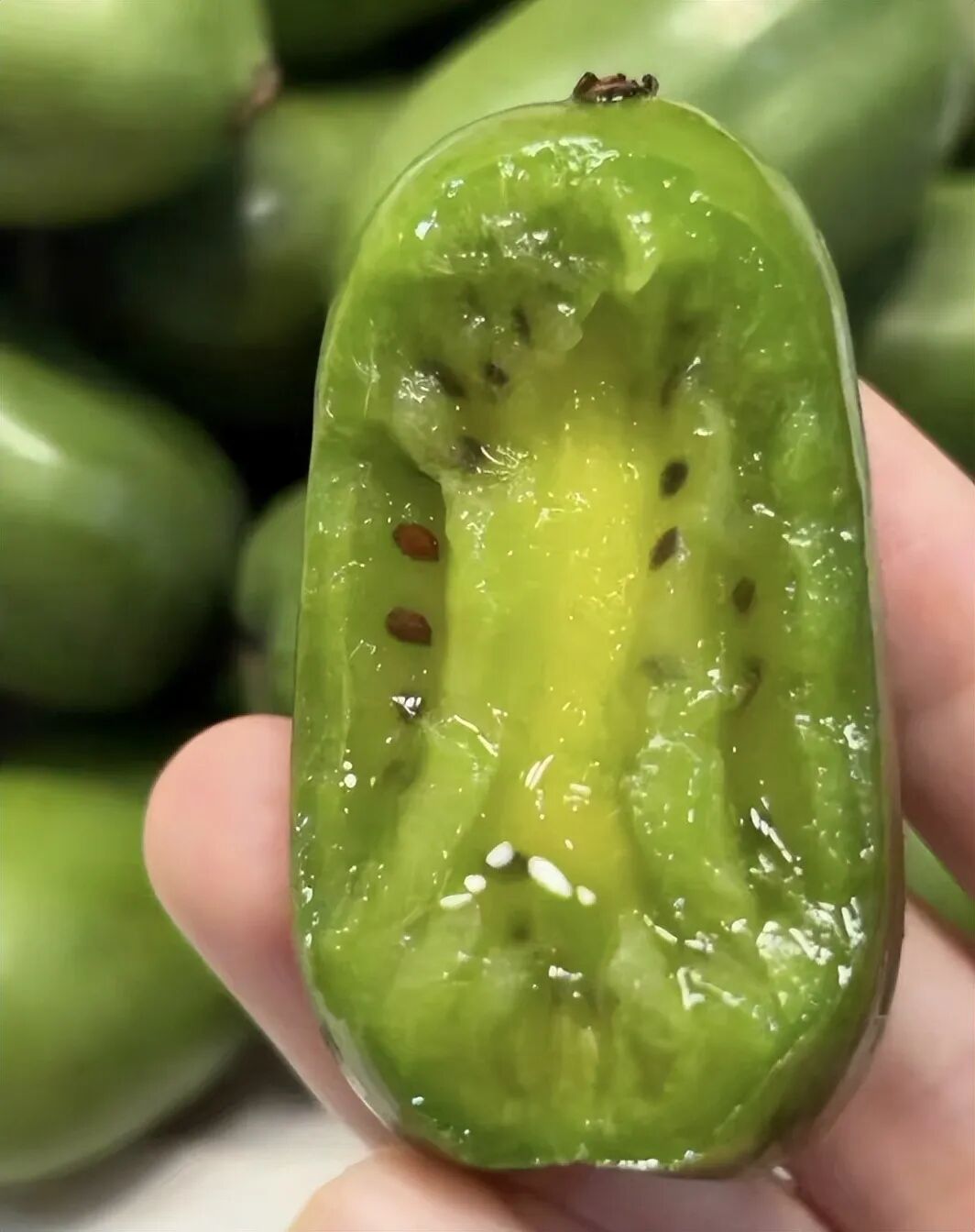 A Fruit That Looks Like Both Jujube and Cucumber, with Vitamin C Content Six Times Higher Than Oranges! This Northern Fruit is in Season and Many Haven't Seen It!