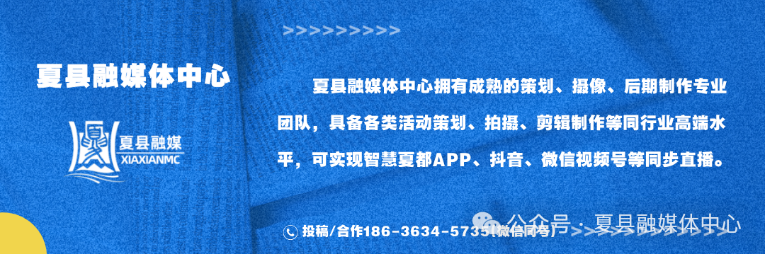 Xia County Aimi Optoelectronics: First Batch of 36,000 LCD Display Assemblies Exported Overseas