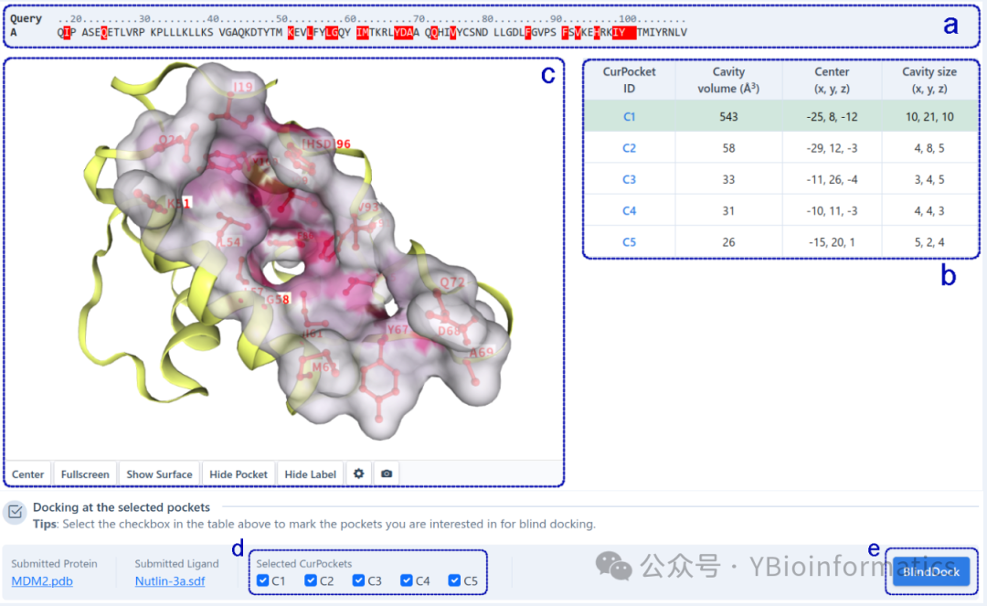 CB-Dock2: An Improved Protein-Ligand Blind Docking Workflow Combining Homology Templates and FitDock Optimization