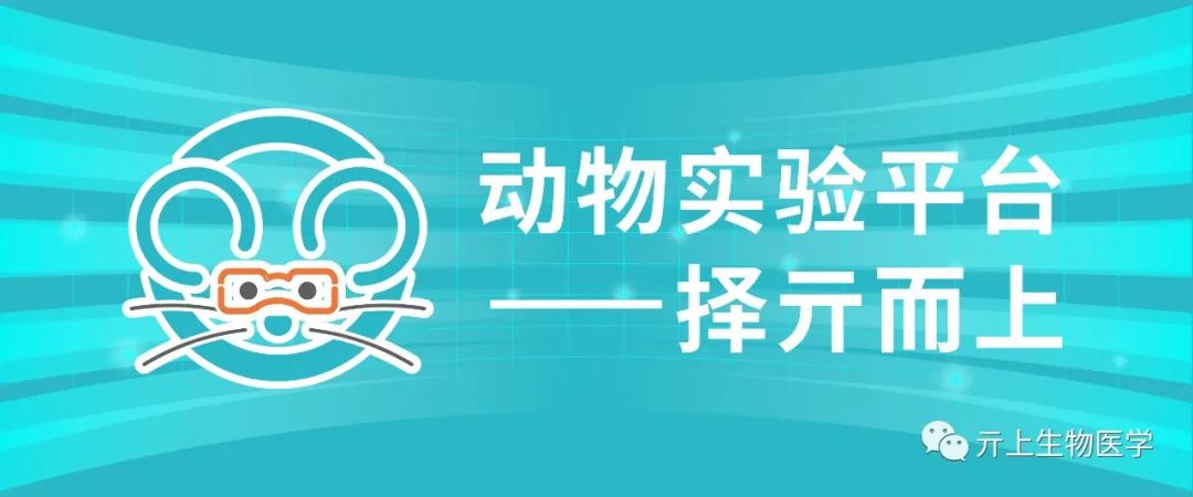 Overview of ADC Conjugation Technology