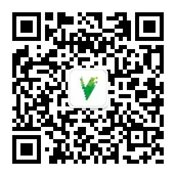 Hunan Qitai Sensor: Major Breakthrough in Insulation Voltage of Metal-Based Pressure Sensitive Chips
