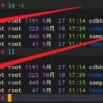 Understanding File Permission Management in Linux Systems