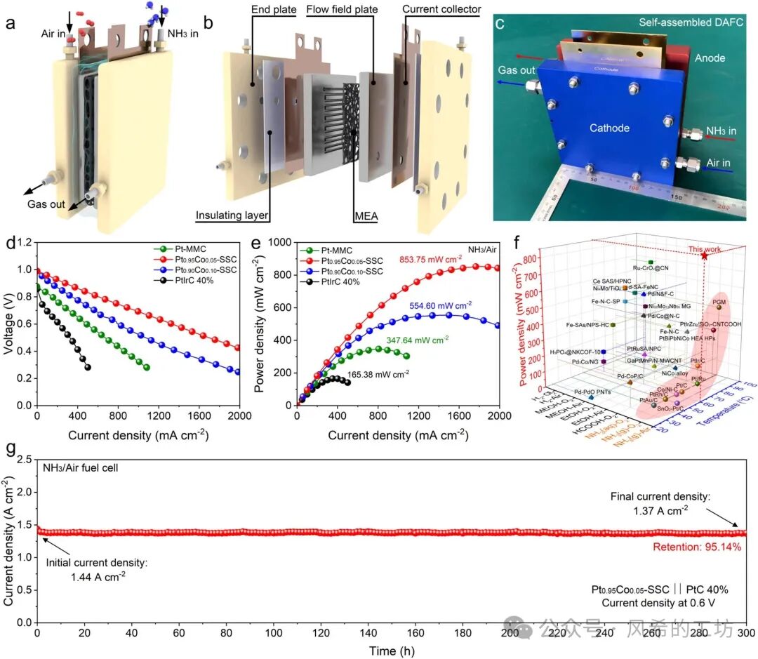 JACS: Breakthrough in Power Density of Direct Ammonia Fuel Cells Achieved with Trace Cobalt-Substituted Platinum Catalysts at 853.75 mW cm⁻²