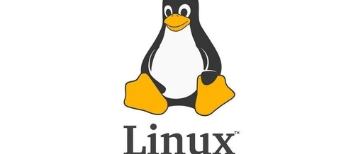 Comprehensive Guide to Linux Commands - ls Command