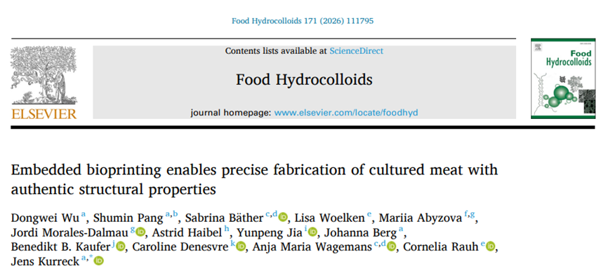 Embedded Bioprinting Enables Precise Fabrication of Cultured Meat with Authentic Structural Properties