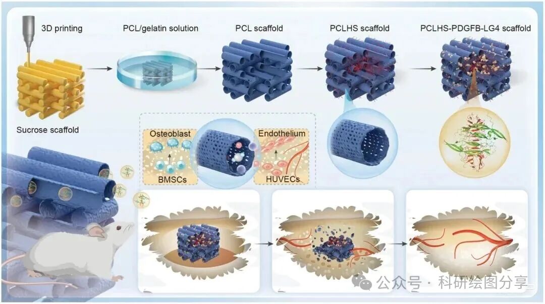 3D-Printed Biomimetic Vascular Scaffold for Sustained Release of PDGFB-LG4 Fusion Protein Promotes Bone Regeneration
