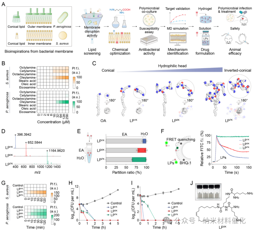 A Bioinspired Lipopeptide Surmounts Therapeutic Dilemmas of Gram-Positive and Gram-Negative Polymicrobial Infection