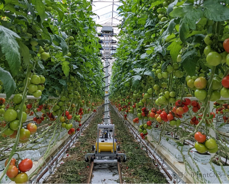 Case Studies of Agricultural Practices Using Artificial Intelligence Robots