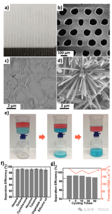 In Situ Grown Whisker Coated Ceramic Structures via 3D Printing for Efficient Oil-Water Separation