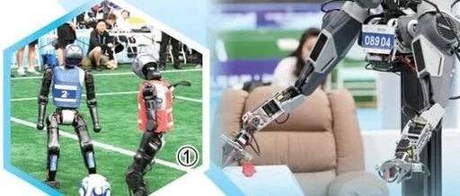 How Far Are Humanoid Robots from Daily Life? The Development of Their 'Brains' is Key