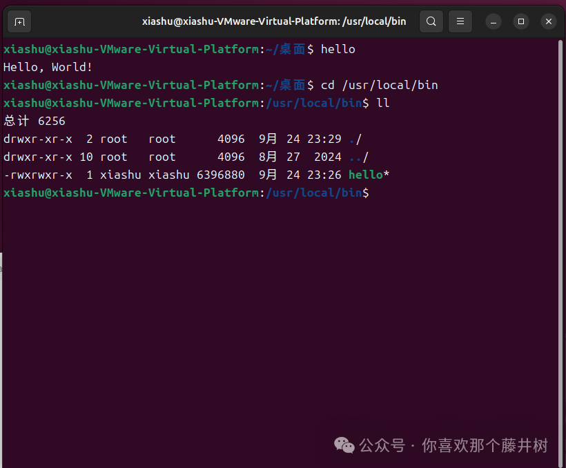 Linux Learning Notes (2): Dart