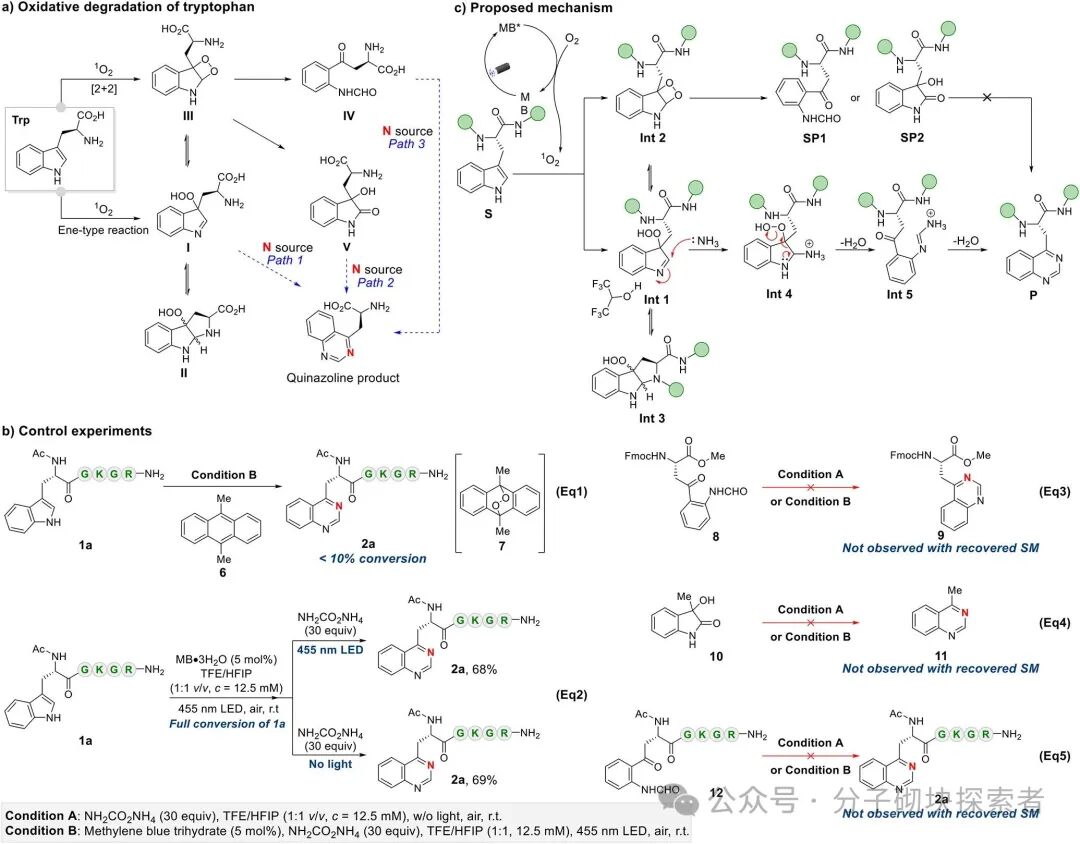 Photocatalytic Indole Ring 'Editing' to Quinazoline for Tryptophan Site-Specific Peptide Modification