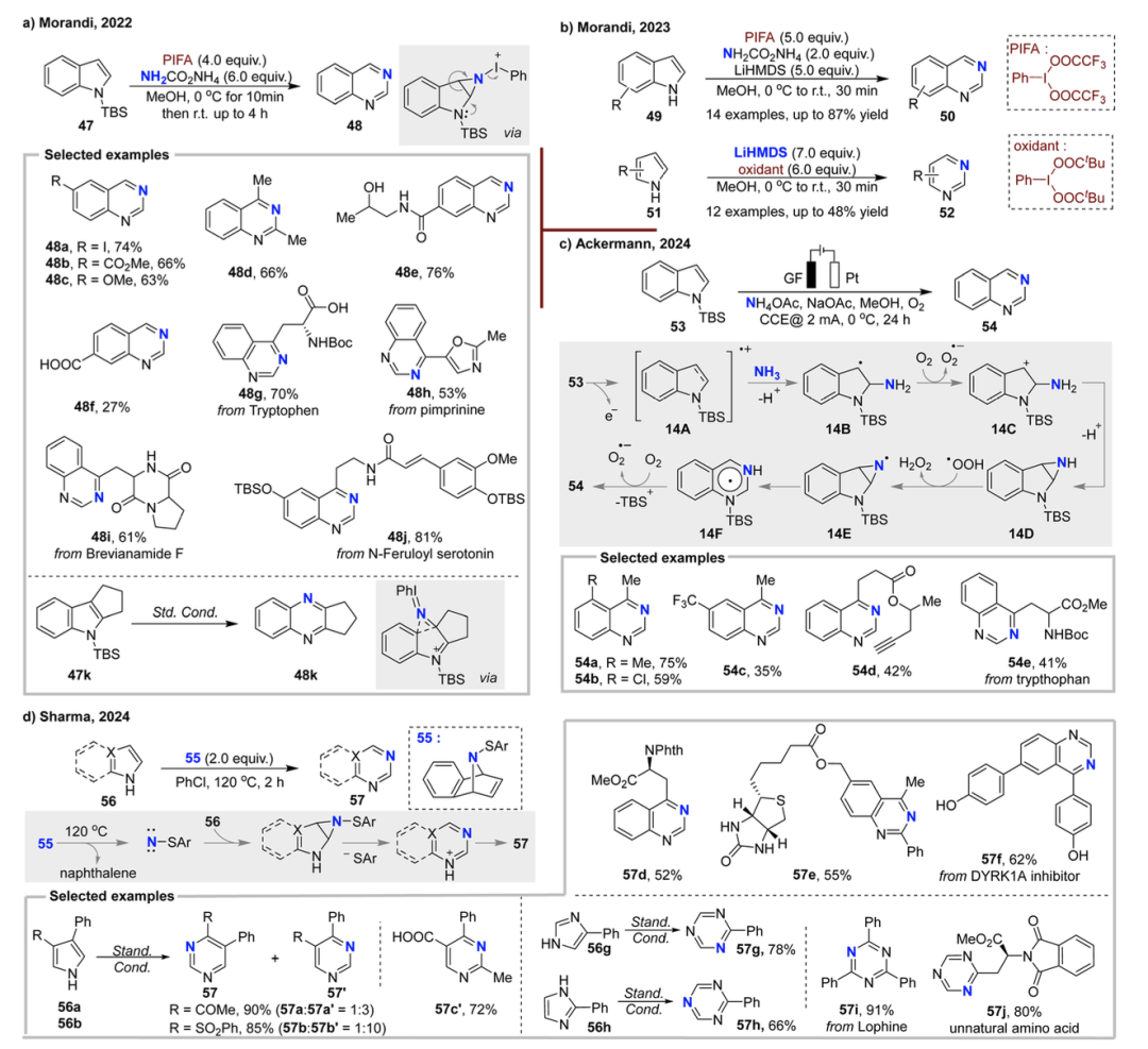 Review by Professor Hongjian Lu's Team at Nanjing University | Recent Advances in Skeleton Editing Based on Nitrogen Atom Manipulation