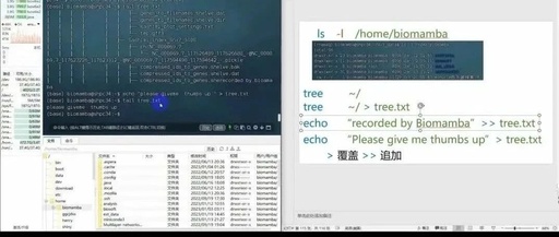 Linux | 21. Soft Links and Hard Links (ln)